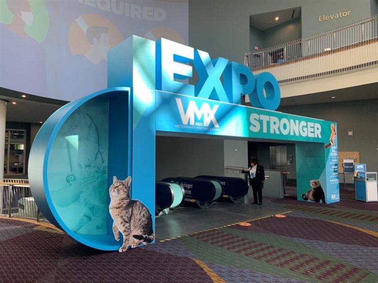 Vmx Orlando 2025 Essa Milicent